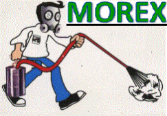 morex_logo